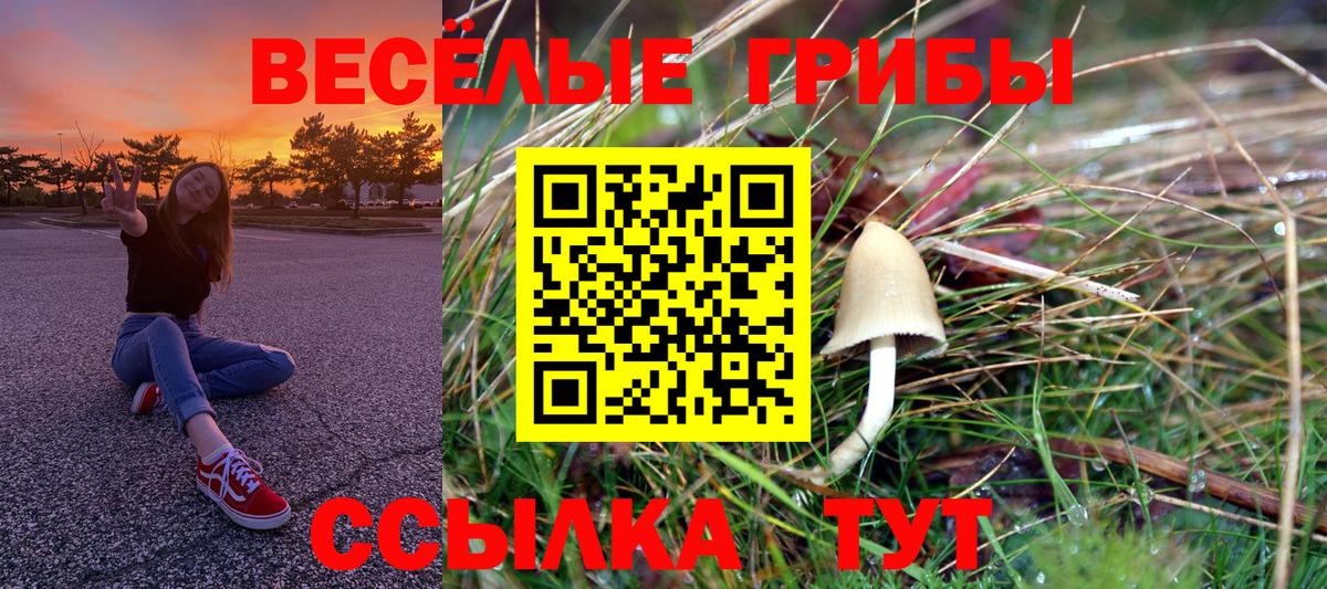 Галлюциногенные грибы мицелий  Вход с VPN  Кинель 