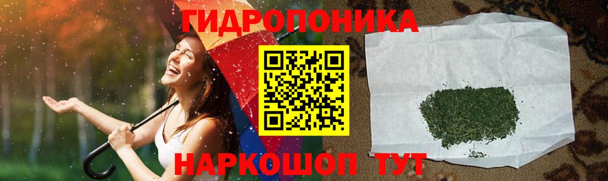 Бошки Шишки SATIVA & INDICA  Вход с VPN  Канабис ГИДРОПОН  Кинель 